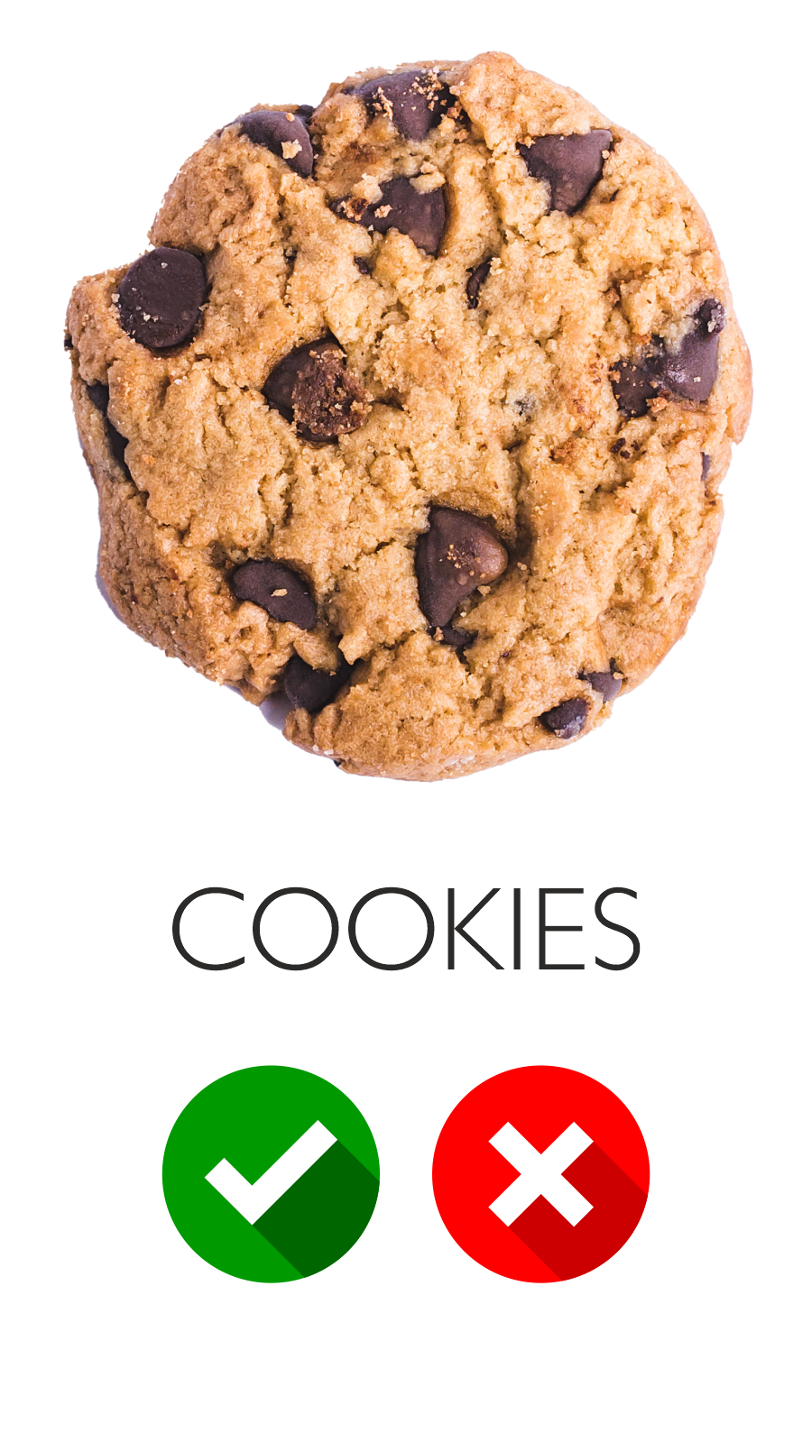 Privacy and Cookie Policy