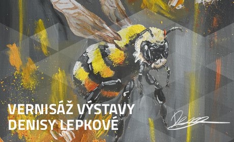 Vernisáž výstavy obrazů Denisy Lepkové