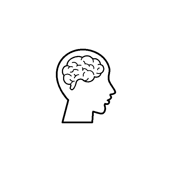 Primární výzkum