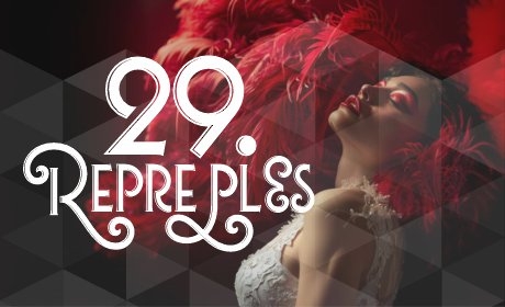 29. reprezentační ples Fakulty managementu