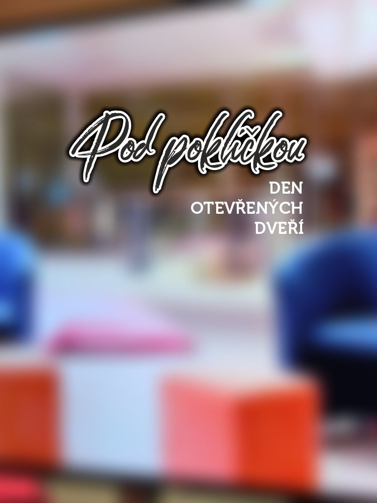 Na Fakultě managementu proběhl první letošní virtuální den otevřených dveří.